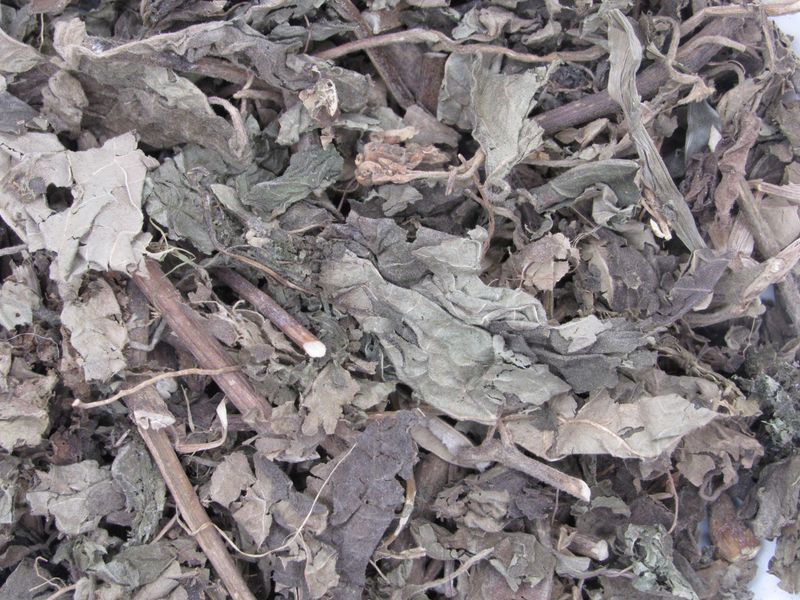 Patchouli Herb