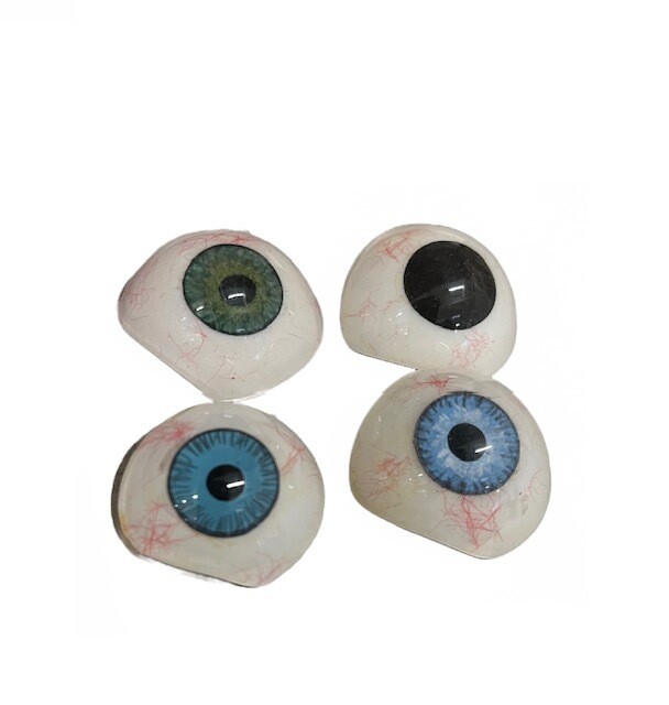 Anatomisches Modell &quot;Augenprothese&quot; (Glasauge)