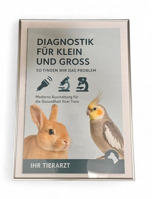 Plakat &quot;Diagnostik für klein und groß&quot;