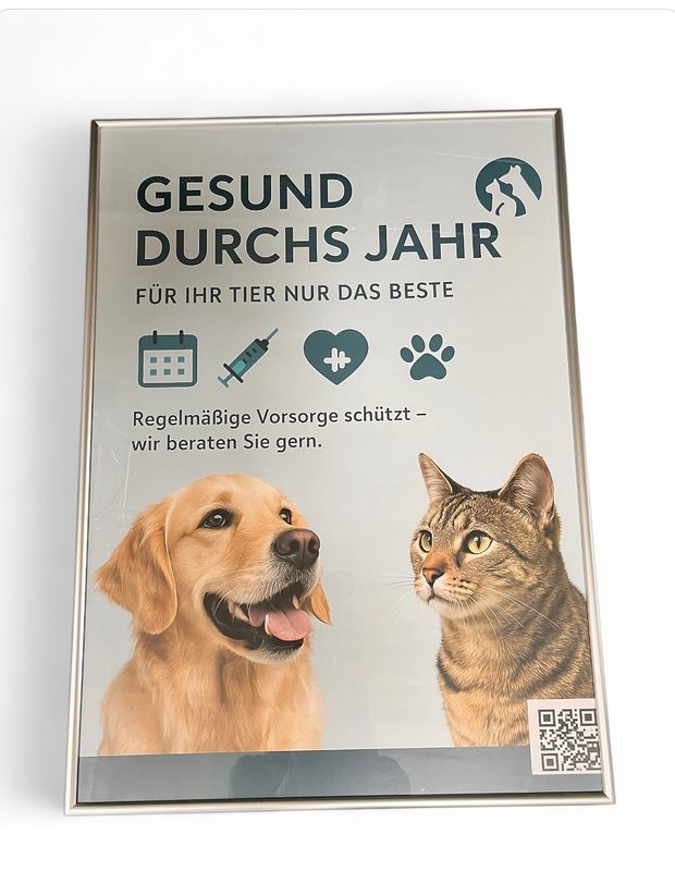 Plakat im Rahmen &quot;Gesund durchs Jahr&quot;