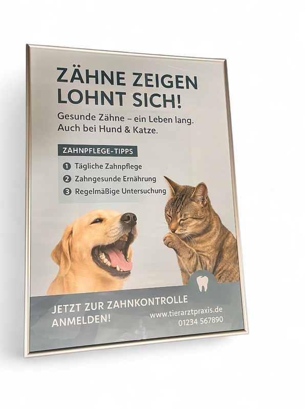 Plaket &quot;Zähne zeigen...&quot;