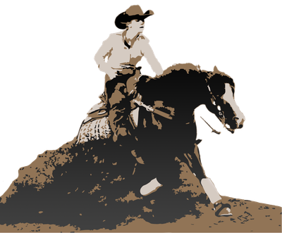 Communicating with Horses via Feelings: The Silent Language of the Horsewoman