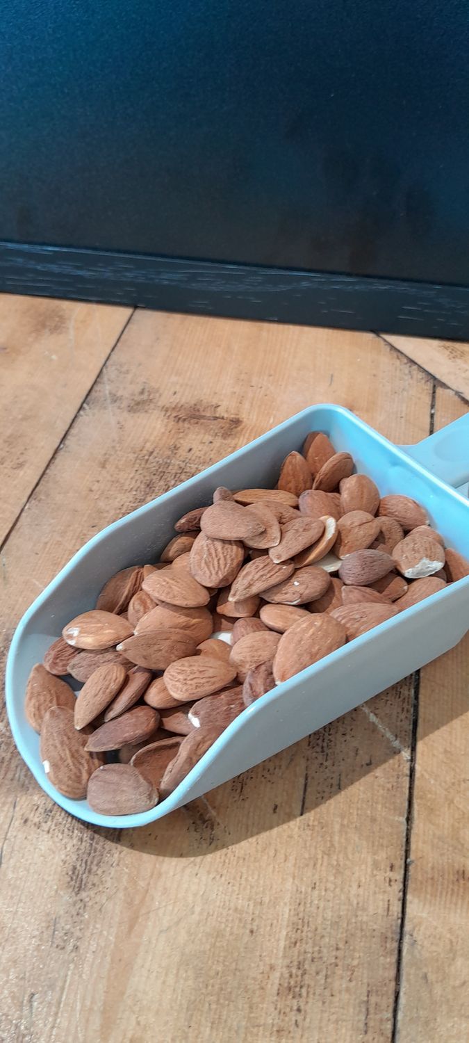Amandes décortiquées