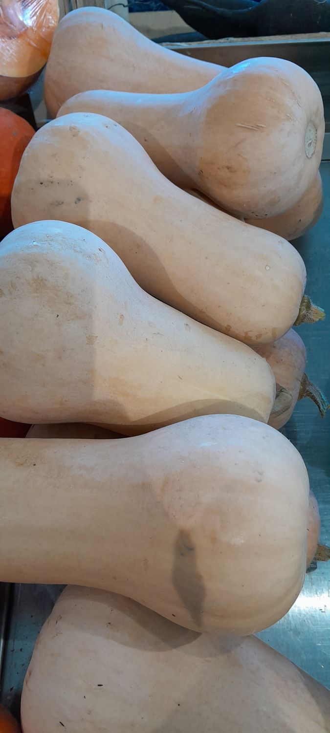 Butternut