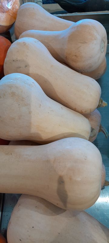 Butternut