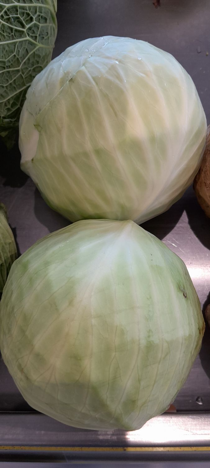 Chou Blanc