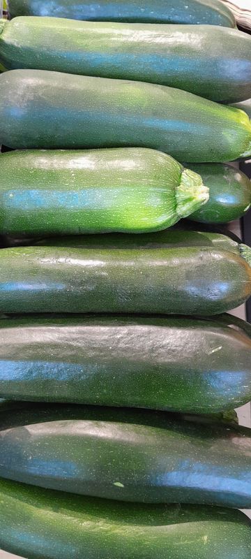 Courgette