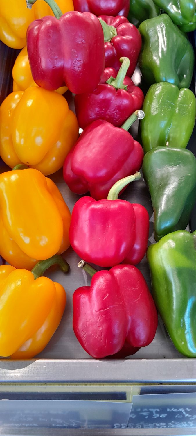 Poivron Rouge