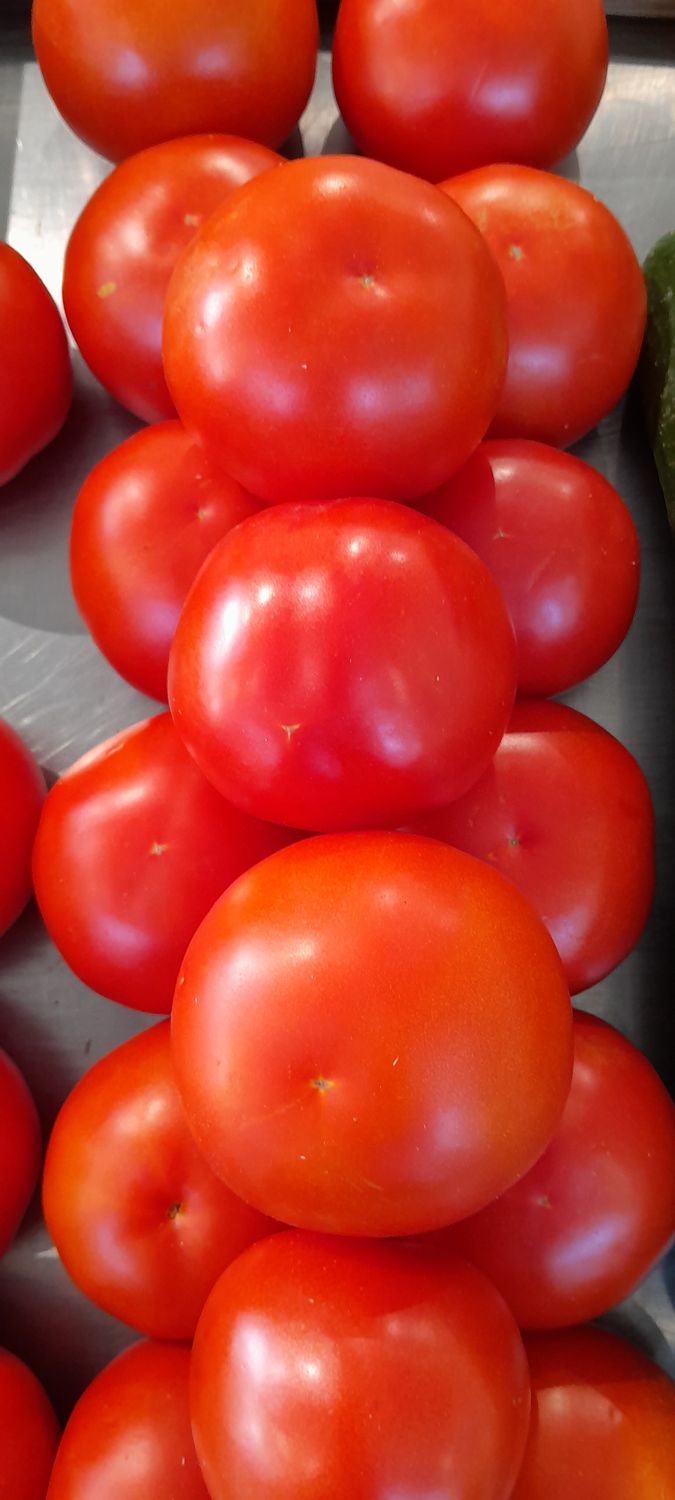 Tomate Ronde