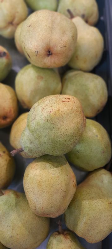 Poire Williams