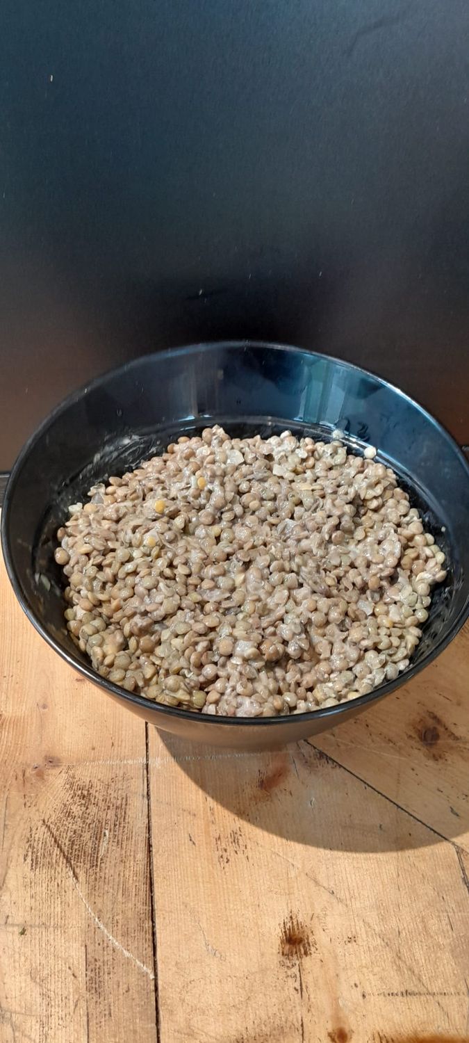 Salade de lentilles aux oignons