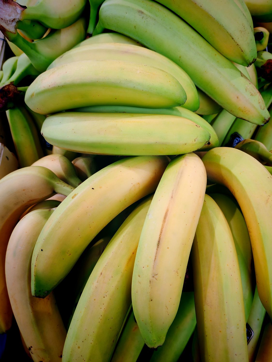 Banane