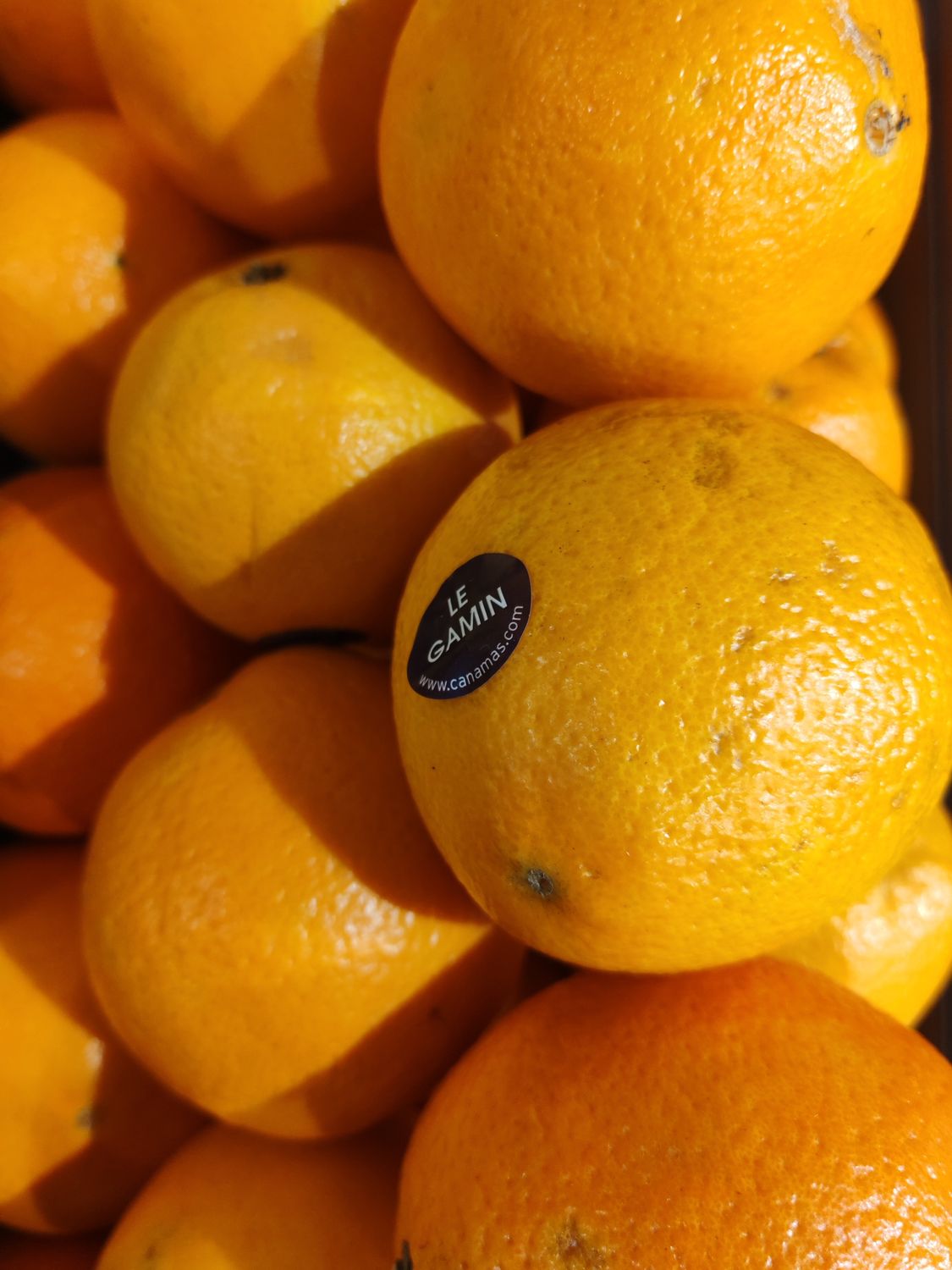 ORANGE GAMIN