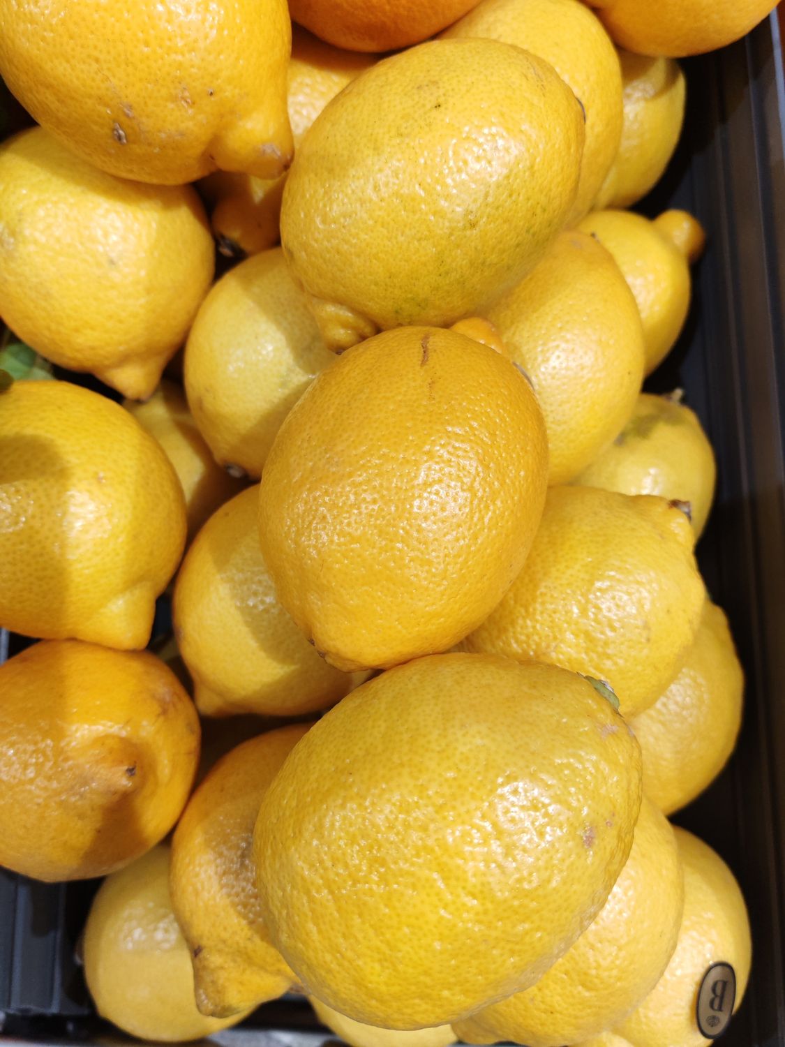 CITRON JAUNE NON TRAITÉ