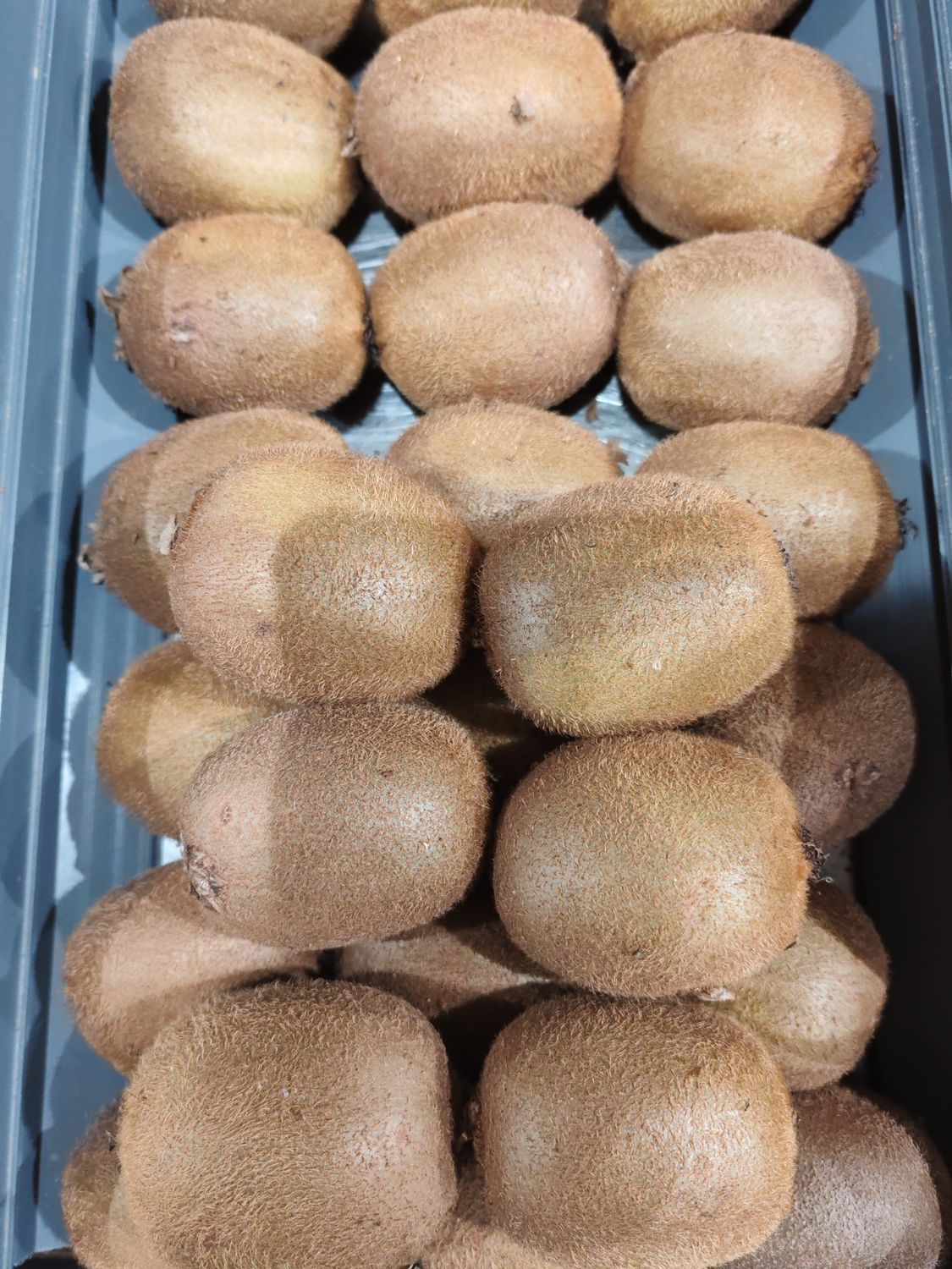 KIWI VERT ARDÈCHE