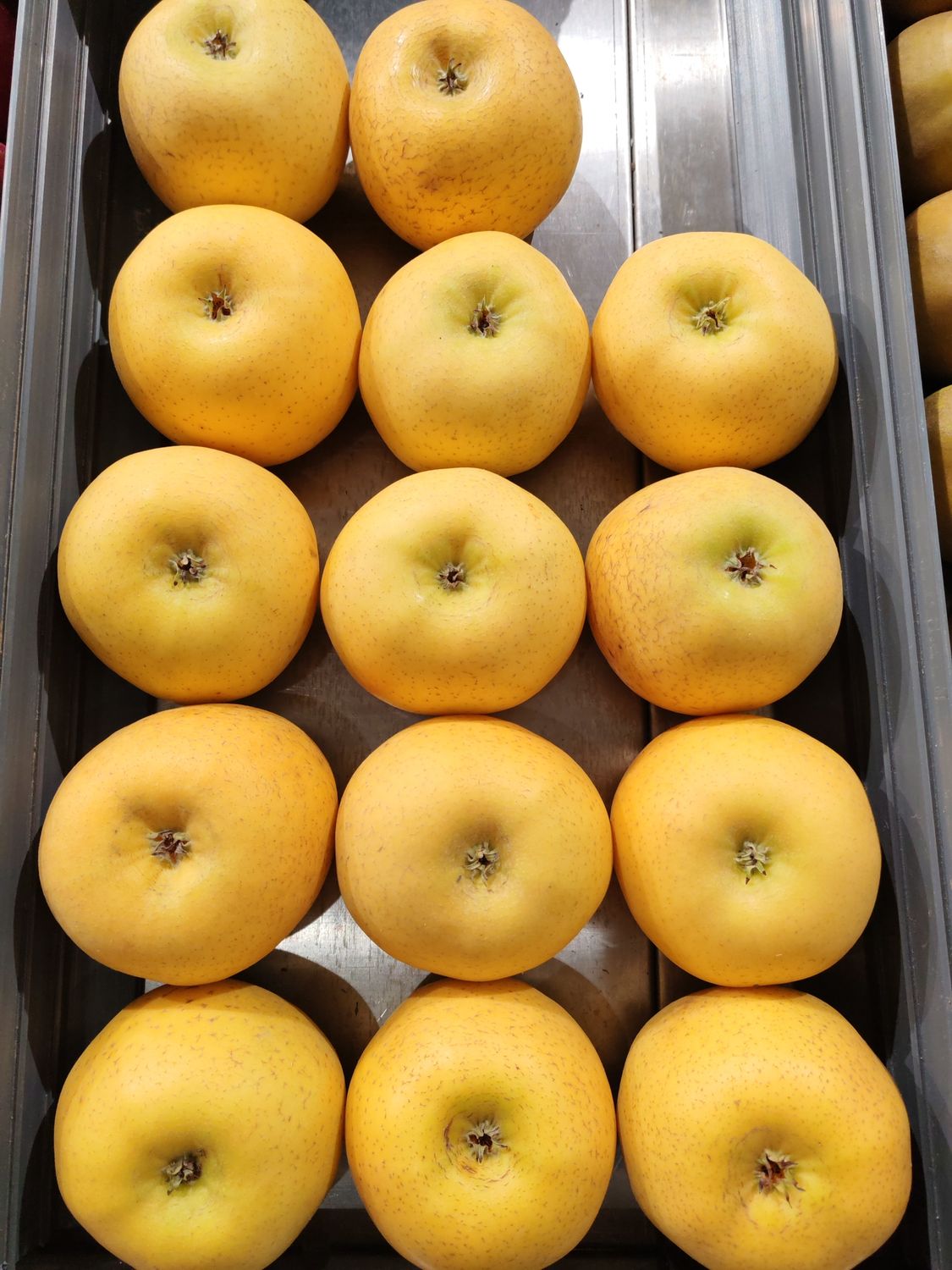 Pomme Chanteclerc