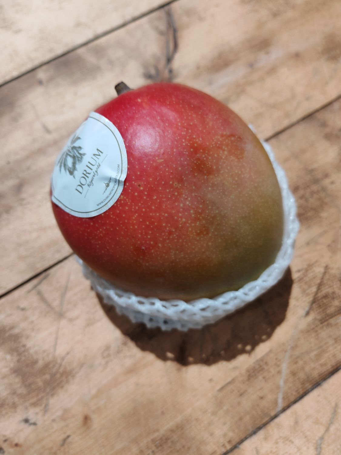 Mangue avion