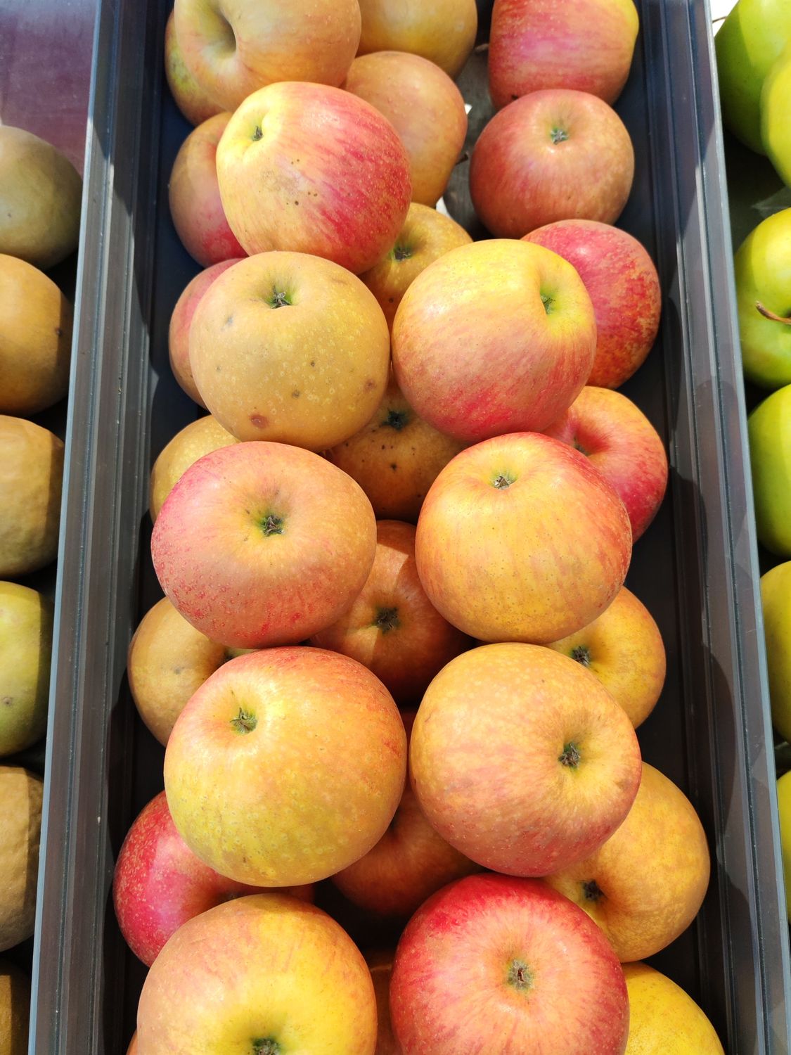 Pomme CHANTELOUP BIO