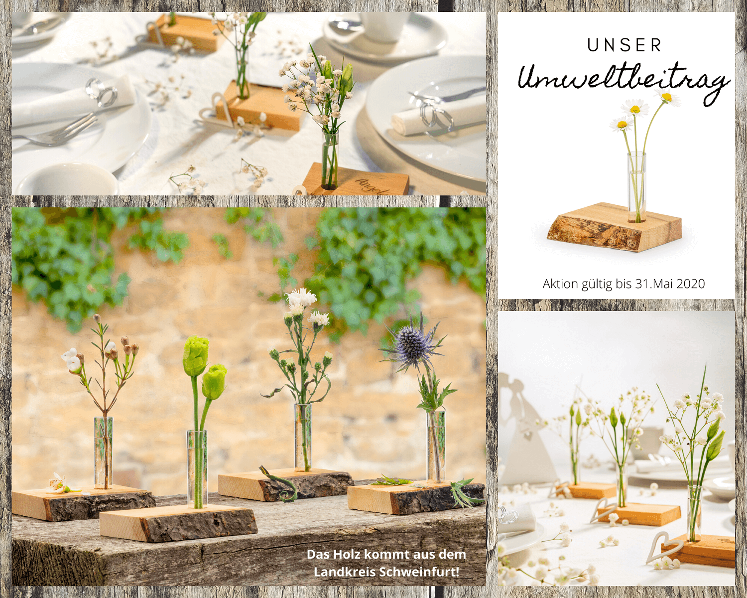 Geschenkväschen bestehend aus Holzsockel mit Reagenzglas und Gänseblümchen