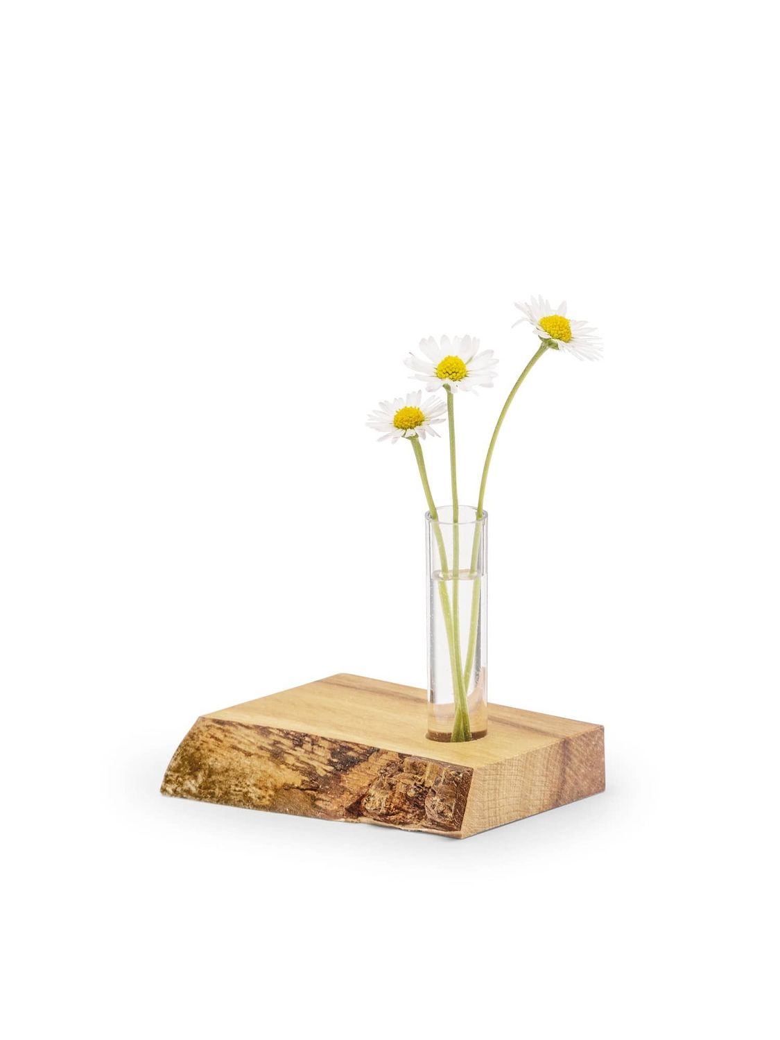 Geschenkväschen unverpackt (10 Stk/VE) Geschenkväschen bestehend aus Holzsockel mit Reagenzglas und Gänseblümchen