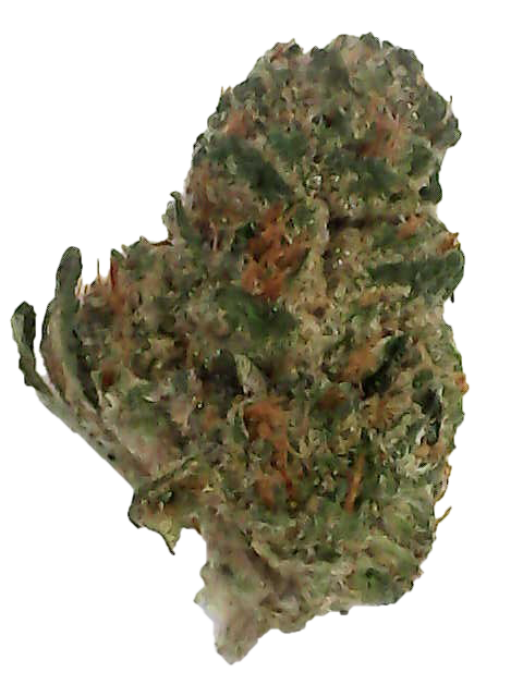 Pedanios 27/1 Pink Diesel