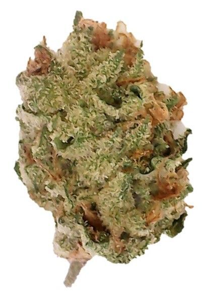 ​enua 21/1 SC CA Strawberry Cake