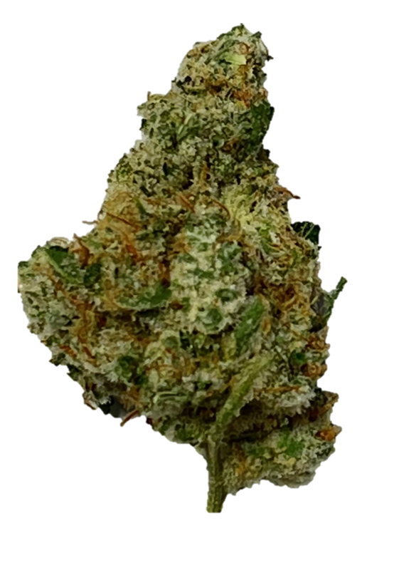 420 Evolution ICC 27/1 Ice Cream Cake x Kush Mints 420 Evolution ICC 27/1 Ice Cream Cake x Kush Mints