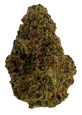 Indica