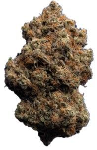 enua 27/1 ZKM CA Zkittlez Kushmints enua 27/1 ZKM CA Zkittlez Kushmints
