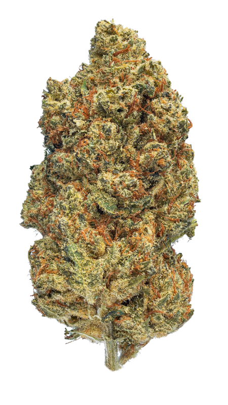 enua 20/1 DB CA Pink Kush enua 20/1 DB CA Pink Kush