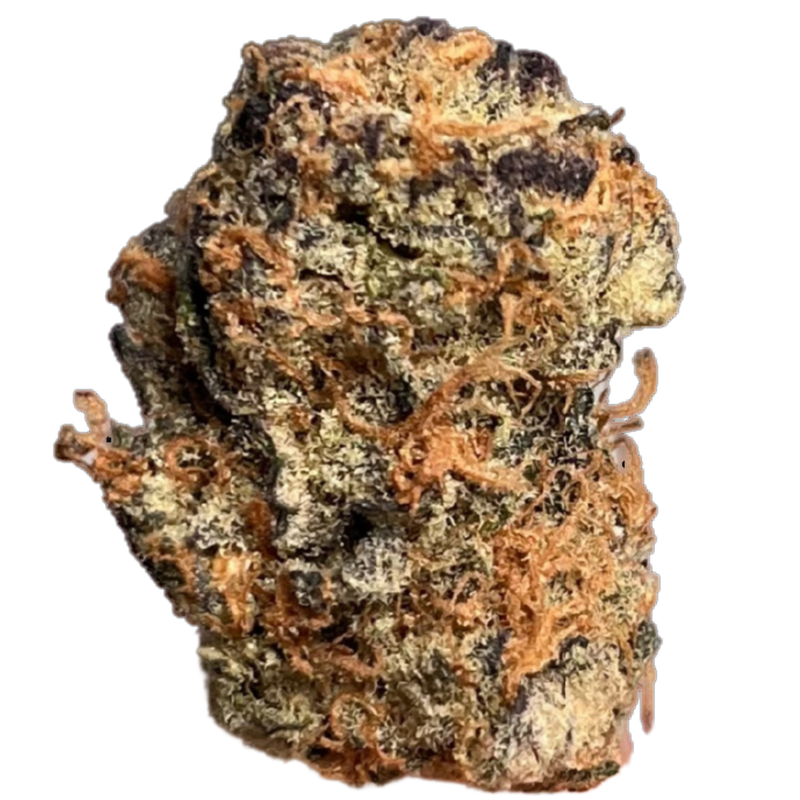 Cookies 22/1 Hawaiian Rain Cookies 22/1 Hawaiian Rain
