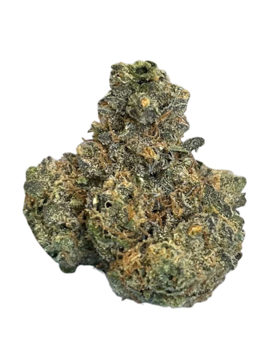 Bathera 26/1 DS Dank Sinatra