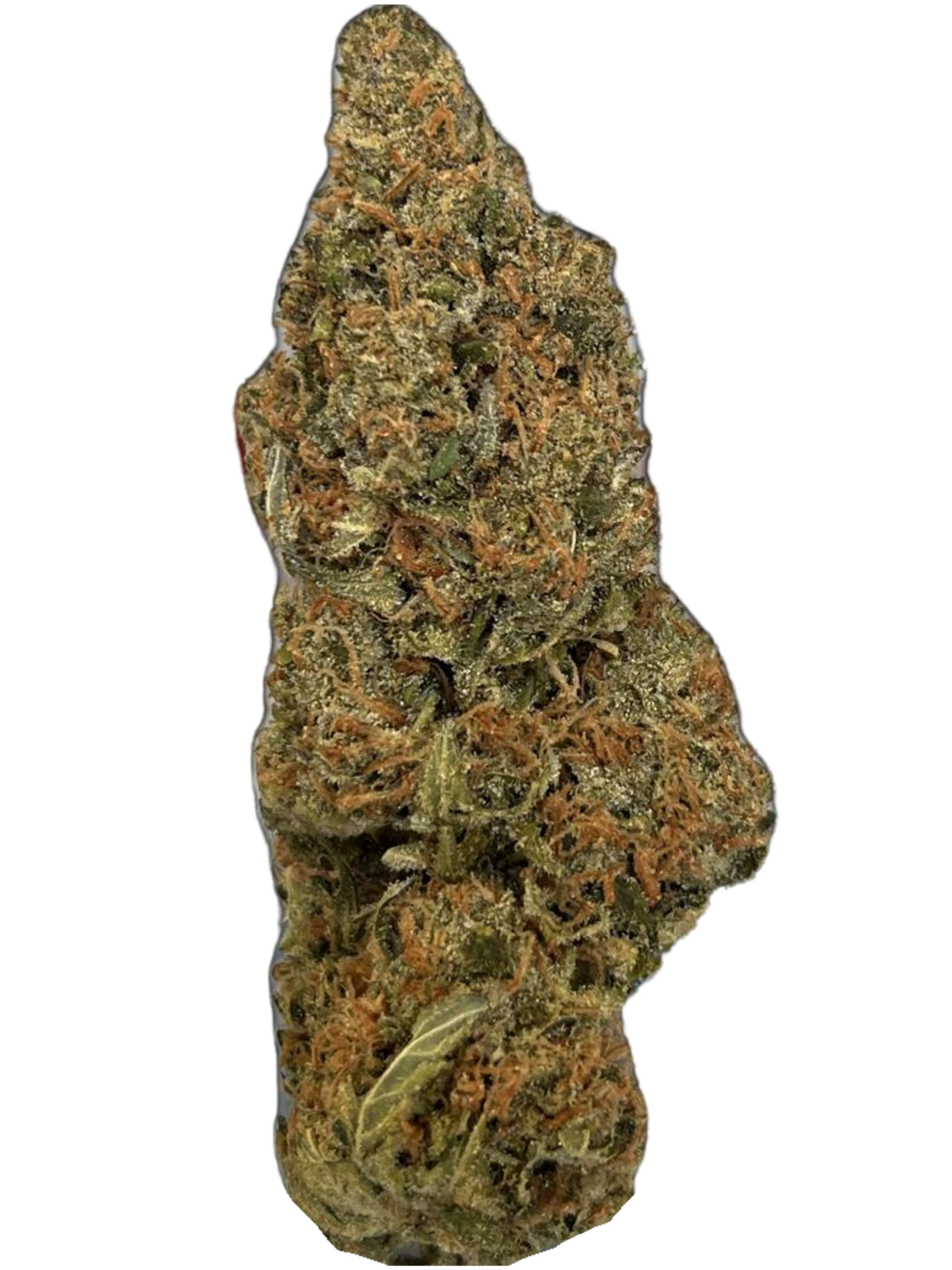 ​enua 22/1 EG CA Electric Grapefruit
