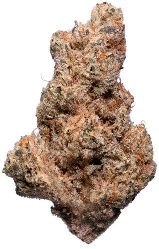 enua 30/1 SLC CA Slurricane enua 30/1 SLC CA Slurricane