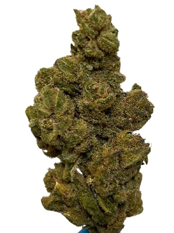 ​NICE 19/1 FZK Forbidden Zkittlez