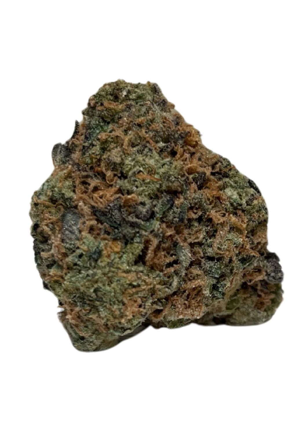 NICE 26/1 BL Black Lime