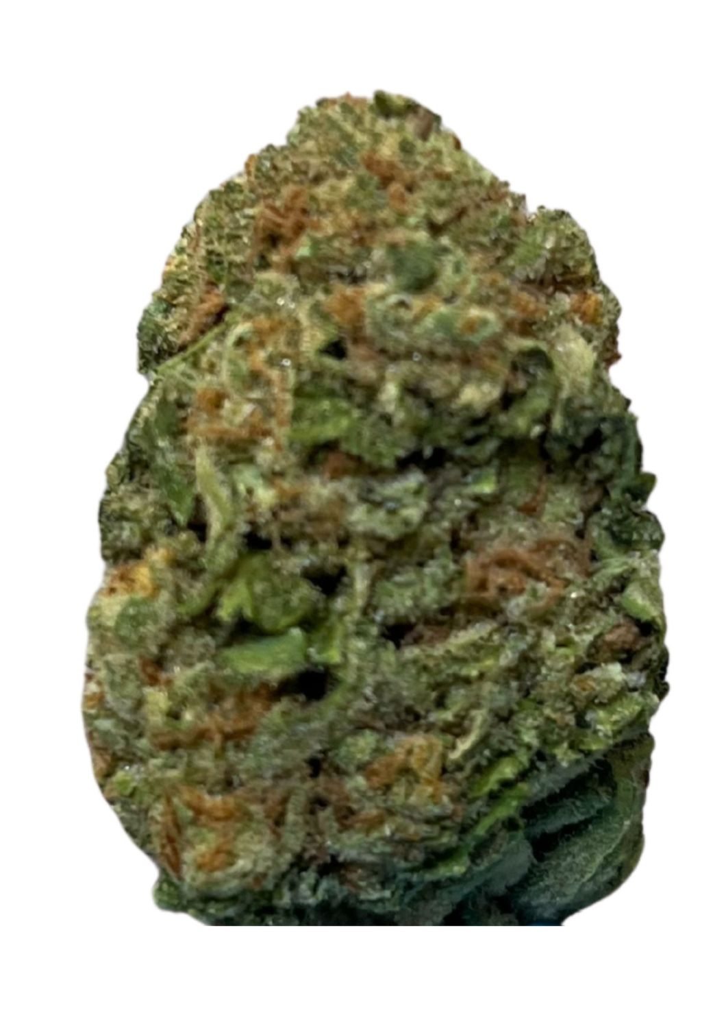 Mediprocan Lunaris 23/1 Lava Cake