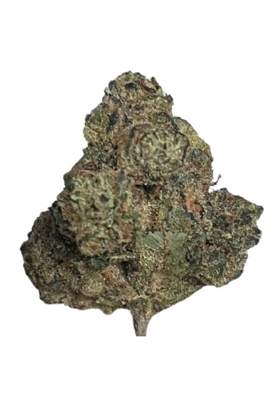 Pedanios 27/1 FRG Farm Gas