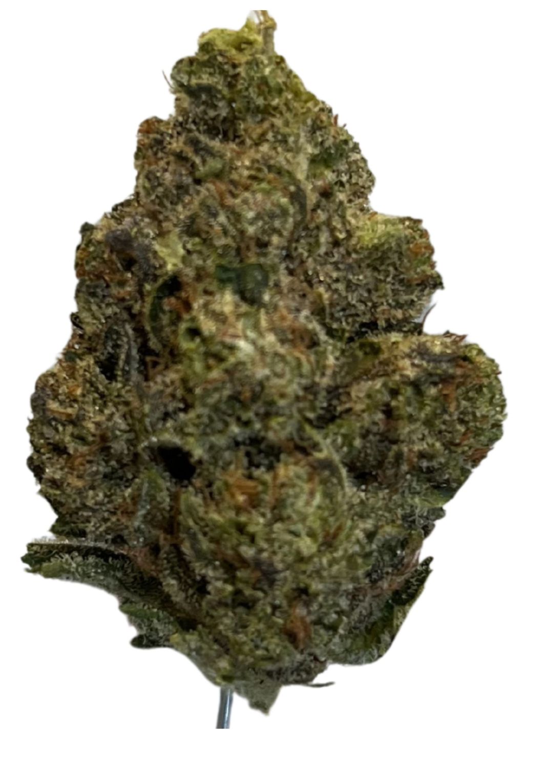 TRUU GT 27/1 Crumbled Lime