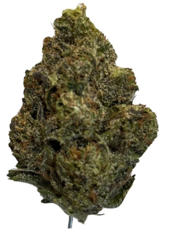 TRUU GT 25/1 Crumbled Lime TRUU GT 25/1 Crumbled Lime