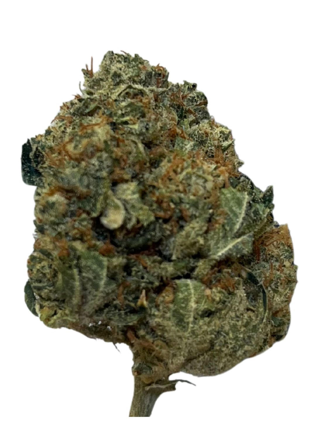 Huala 22/1 ALM Alien Mints