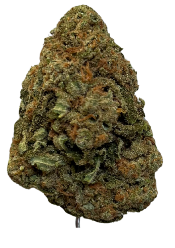 Mediprocan Lunaris 23/1 Paradiso Mediprocan Lunaris 23/1 Paradiso