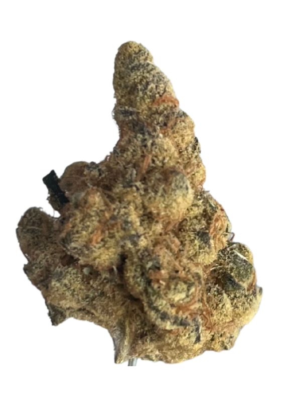 Beacon WP T24 Blueberry Pancakes Beacon WP T24 Blueberry Pancakes