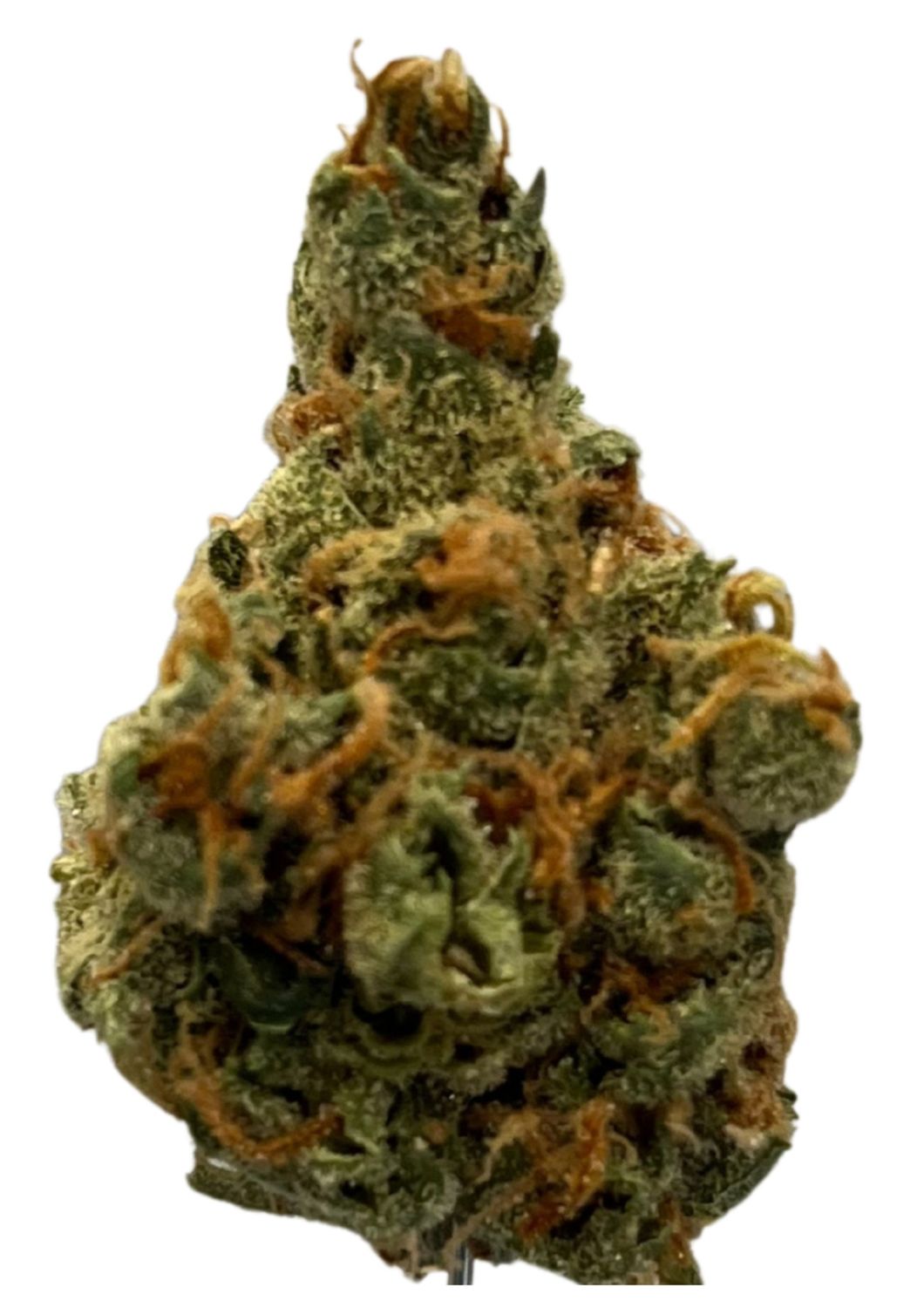 Barrocas PMK 24/1 Premium Mandarin Kush Barrocas PMK 24/1 Premium Mandarin Kush