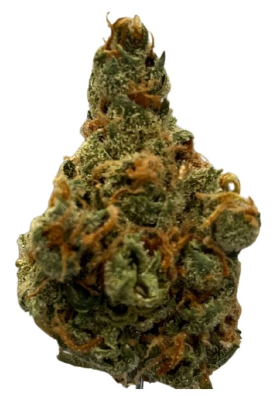 Barrocas PMK 24/1 Premium Mandarin Kush Barrocas PMK 24/1 Premium Mandarin Kush