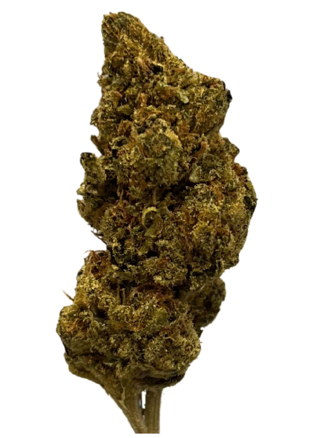 Wellford Luma 26/1 ZA SHR Sherbert Runtz Wellford Luma 26/1 ZA SHR Sherbert Runtz