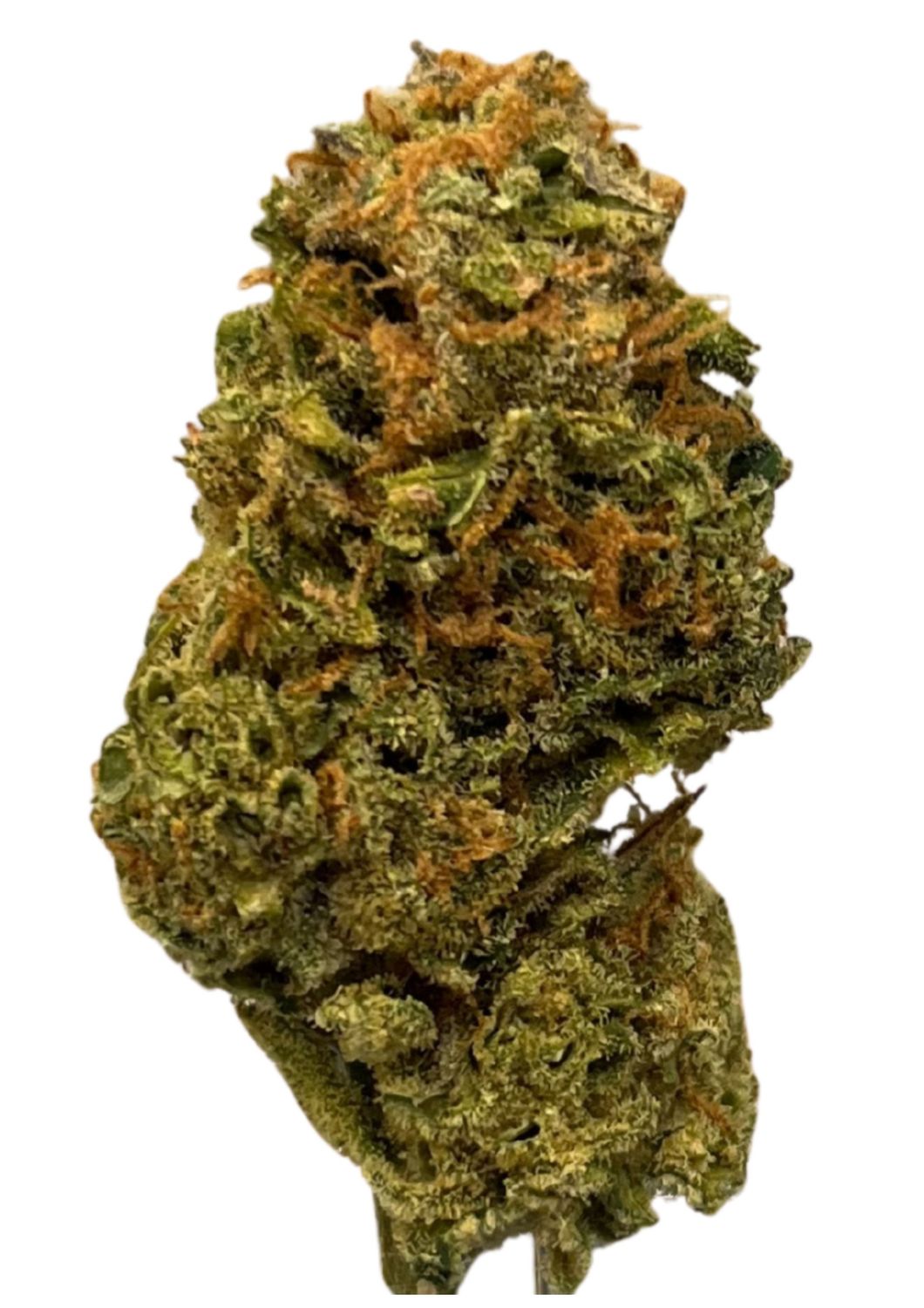 enua 25/1 MB CA Mega Breath enua 25/1 MB CA Mega Breath