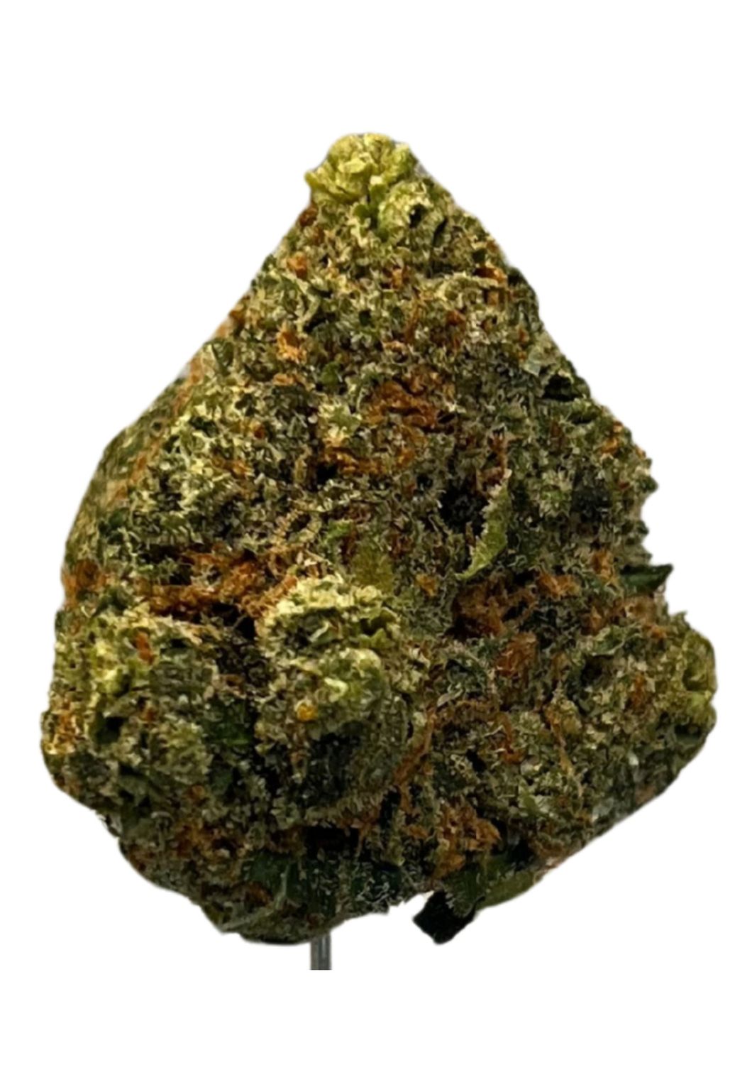 Huala 25/1 UK CIN Cinderella Kush