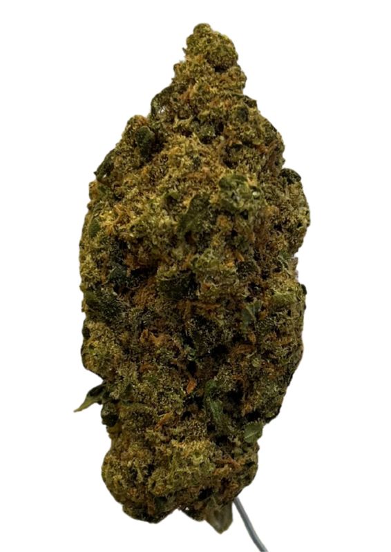 MediproCan LUNARIS 25/1 Capri Haze MediproCan LUNARIS 25/1 Capri Haze