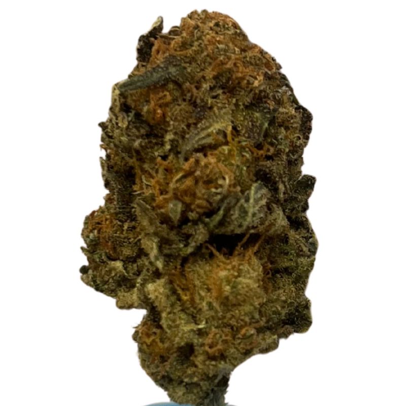 Sibanax SHB 26/1 Shishkaberry Sibanax SHB 26/1 Shishkaberry